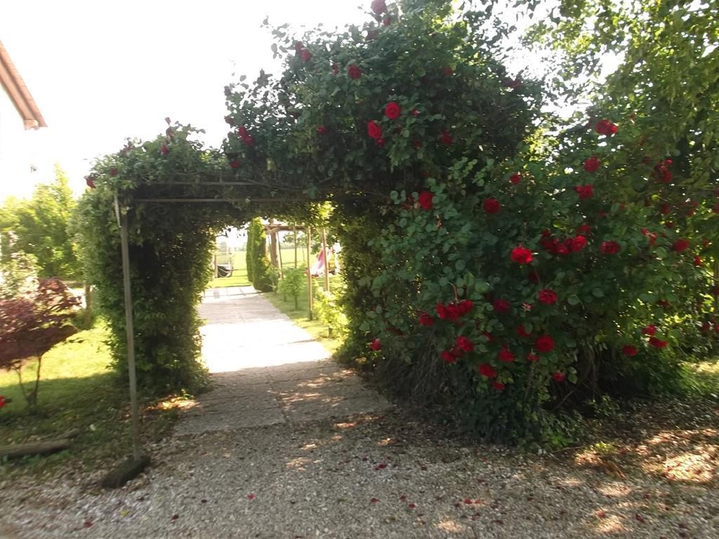 Agriturismo La Prateria Gazzo  外观 照片
