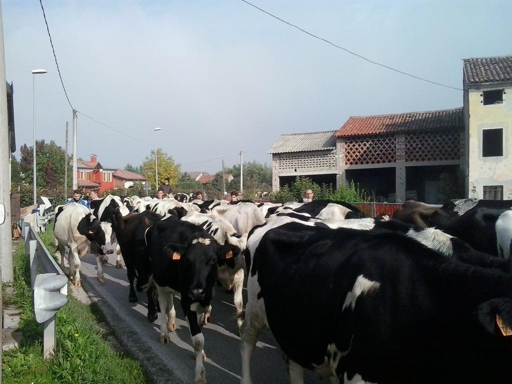 Agriturismo La Prateria Gazzo  外观 照片